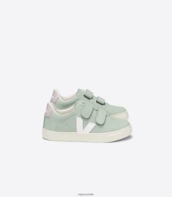 R2D2F2340Veja ESPLAR NUBUCK MATCHA WHITE